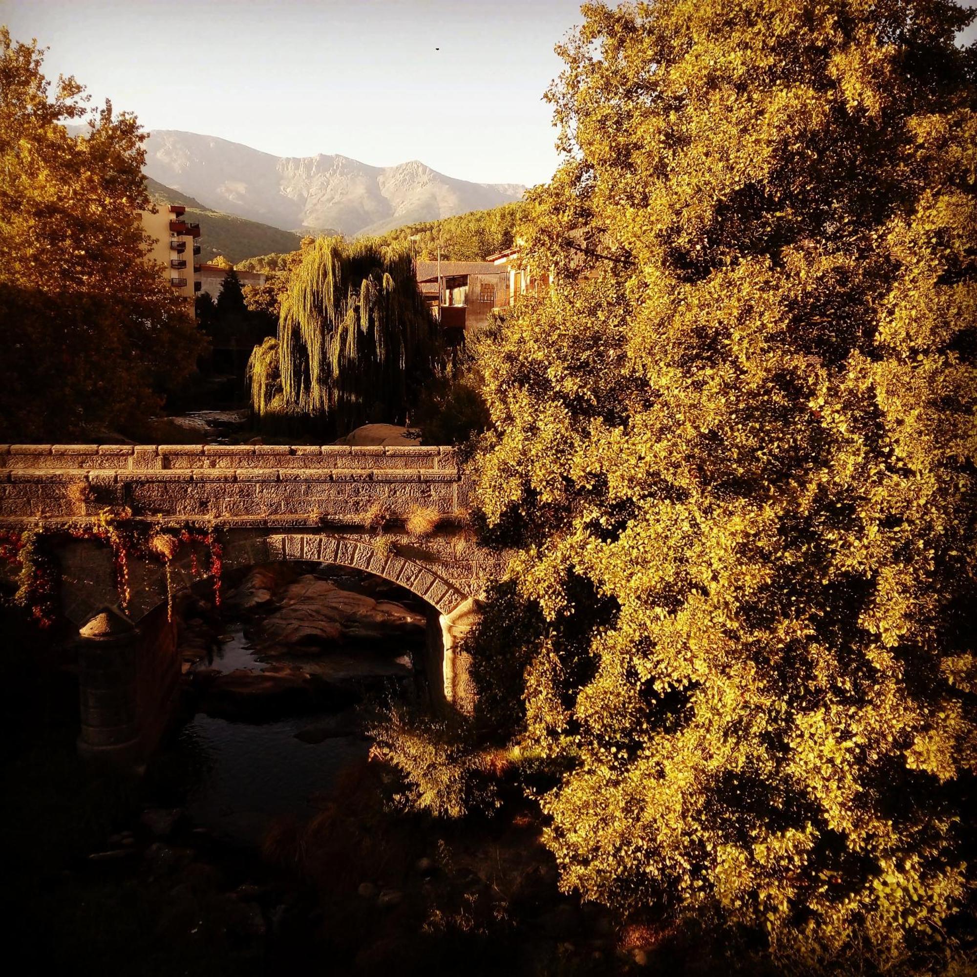 Albareilla By #Cherrygredos El Arenal  Exterior photo