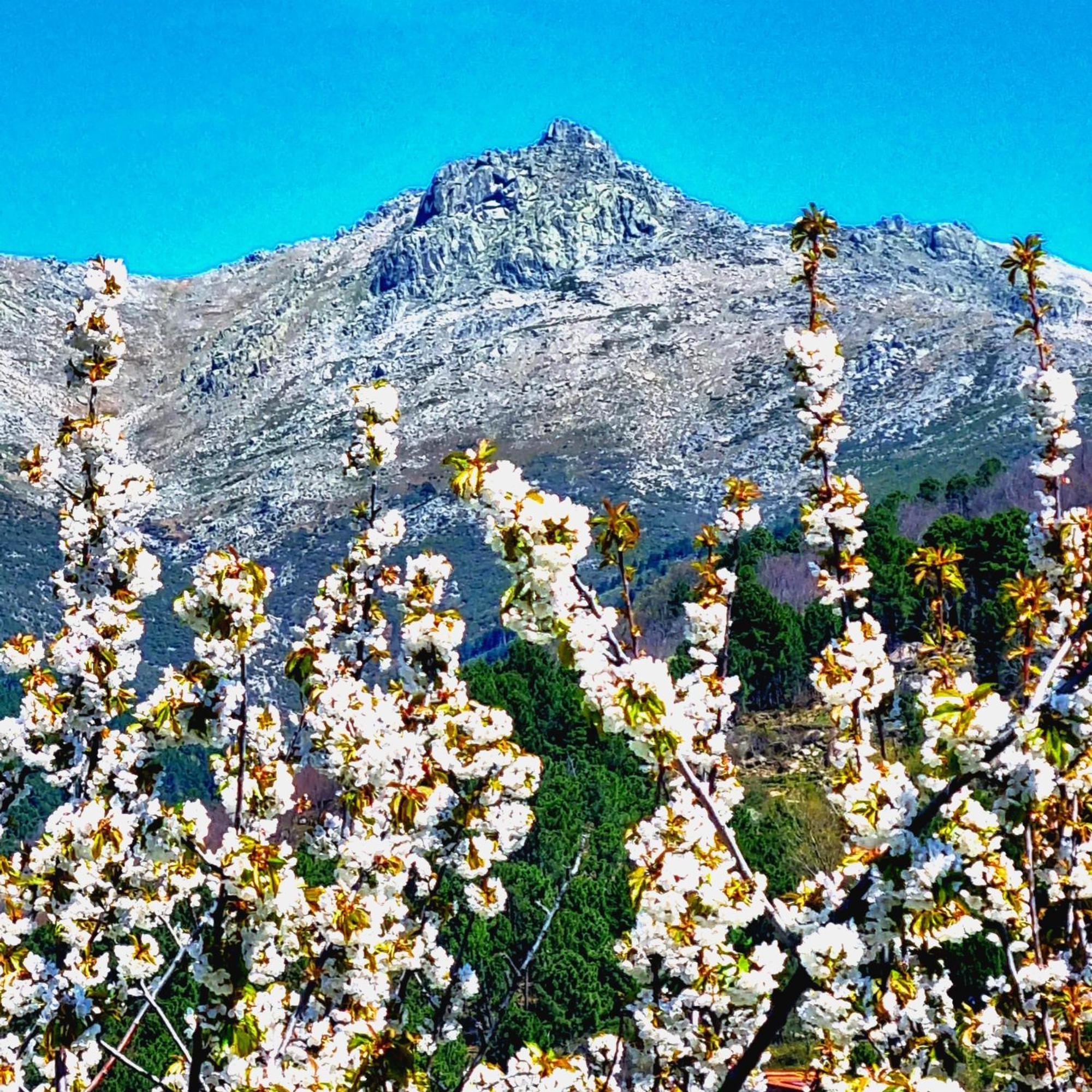 Albareilla By #Cherrygredos El Arenal  Exterior photo