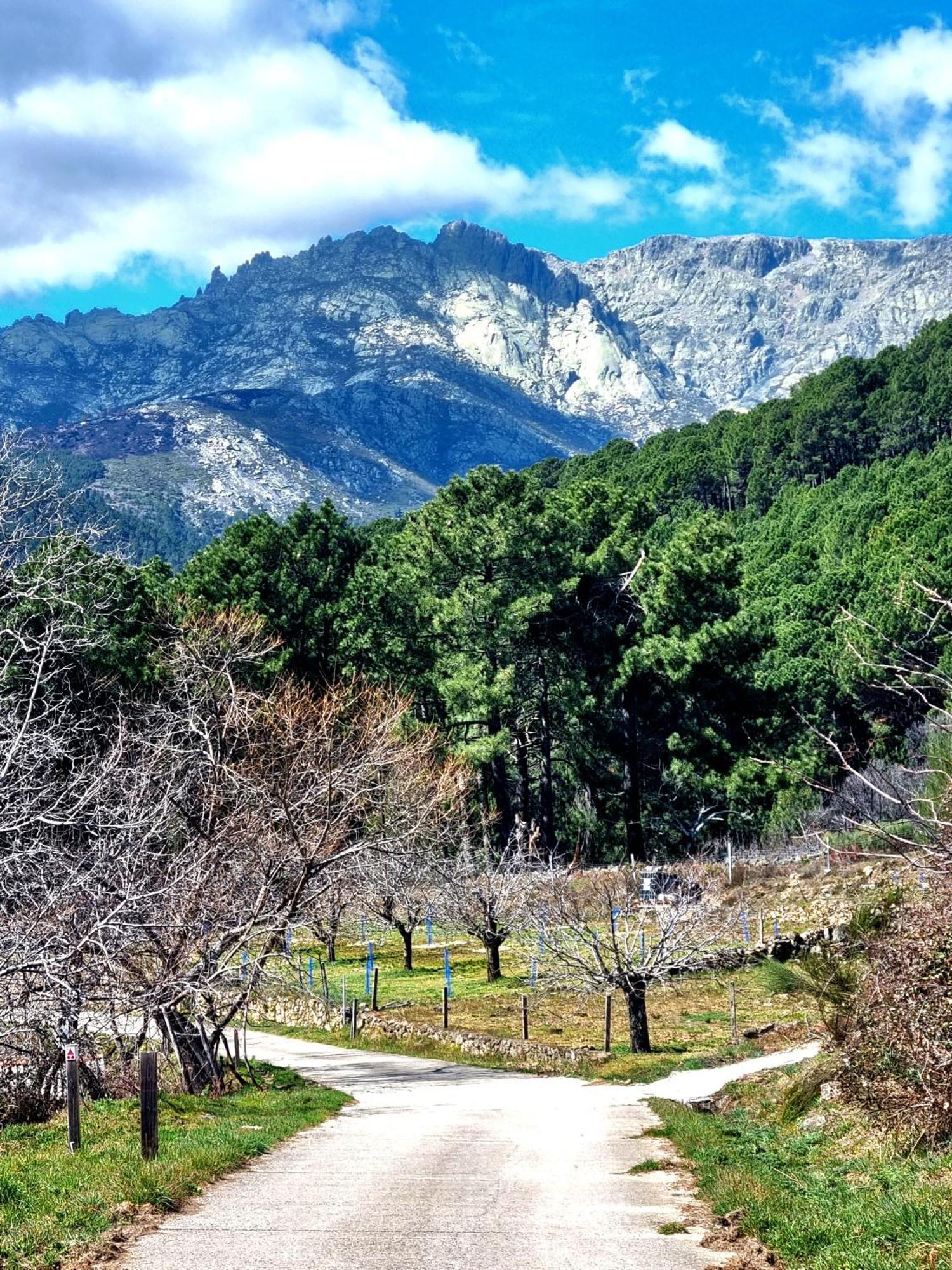 Albareilla By #Cherrygredos El Arenal  Exterior photo