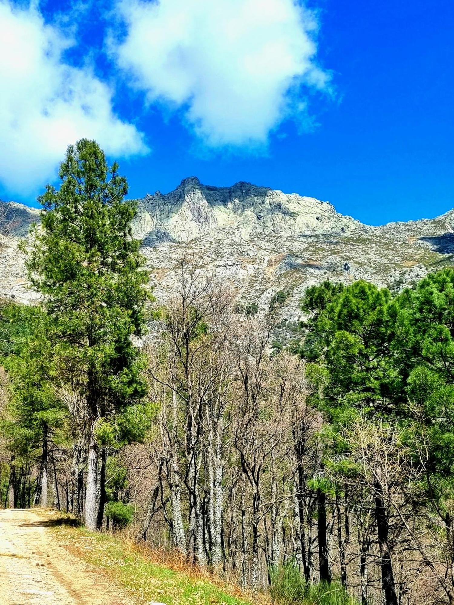Albareilla By #Cherrygredos El Arenal  Exterior photo